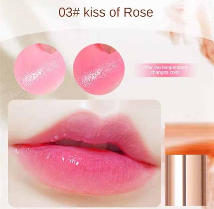 Glossy Finish Lip Balm