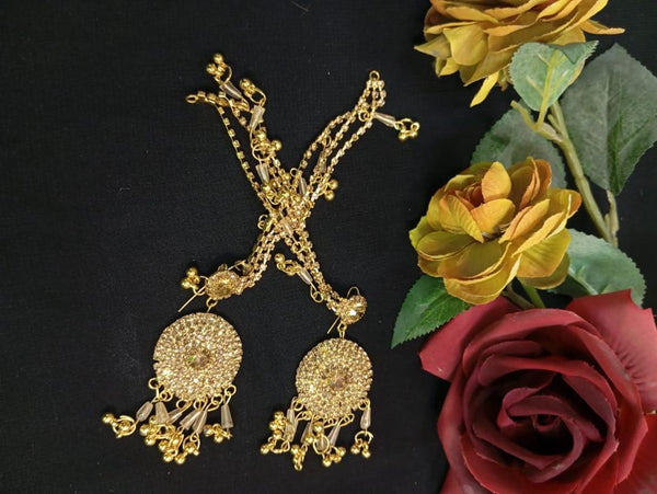 Elegant Earrings
