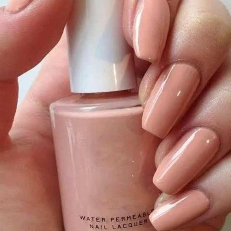 Nude Long Lasting Nail Polish, Pack of 12 with bag